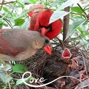 Meet your Posher, Lora